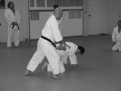 Aikido Friends